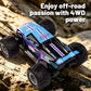 JJR/C Q243 4WD Amphibious Off-Road Remote Control Car