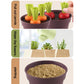 Pretend potted plant set contents: brown pots with green stems, orange carrots, red radishes