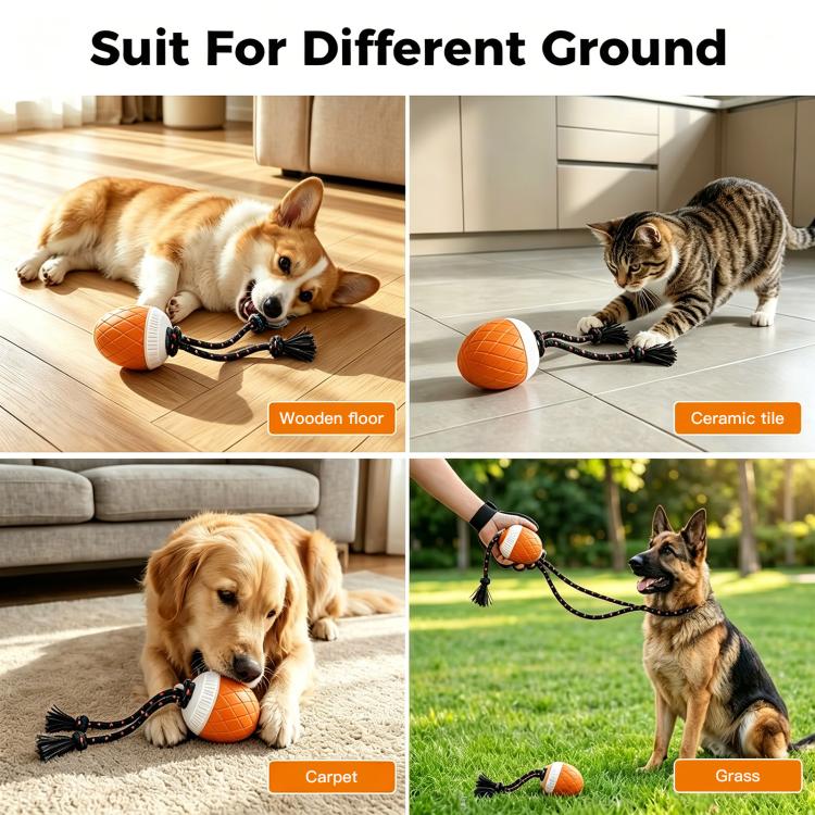 Orange interactive pet toy ball with white top and dark rope on wooden floor, carpet, and grass