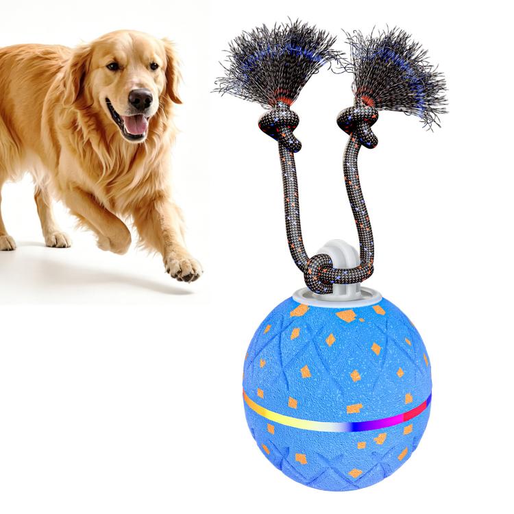 Smart automatic pet toy ball with blue patterned ball and rope attachments