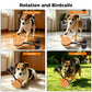 O29 Smart Automatic Pet Toy Ball Dog Training with Sound & Rope, O29