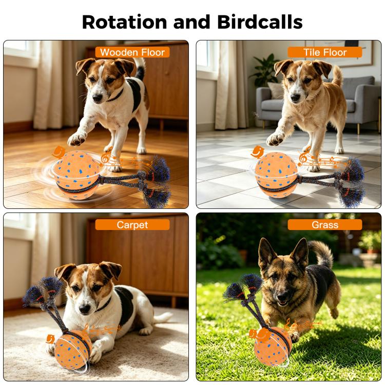O29 Smart Automatic Pet Toy Ball Dog Training with Sound & Rope, O29
