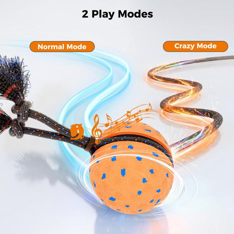 O29 Smart Automatic Pet Toy Ball Dog Training with Sound & Rope, O29