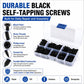 M3 Pan-head Phillips Self-tapping Screw 500 PCS /  Set, M3 500 PCS / Set