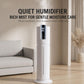 Yesido EC31 Auto Constant Humidity Ultrasonic Humidifier, EU Plug, UK Plug