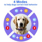 Black anti-bark dog collar on a golden retriever with glowing LED control panel