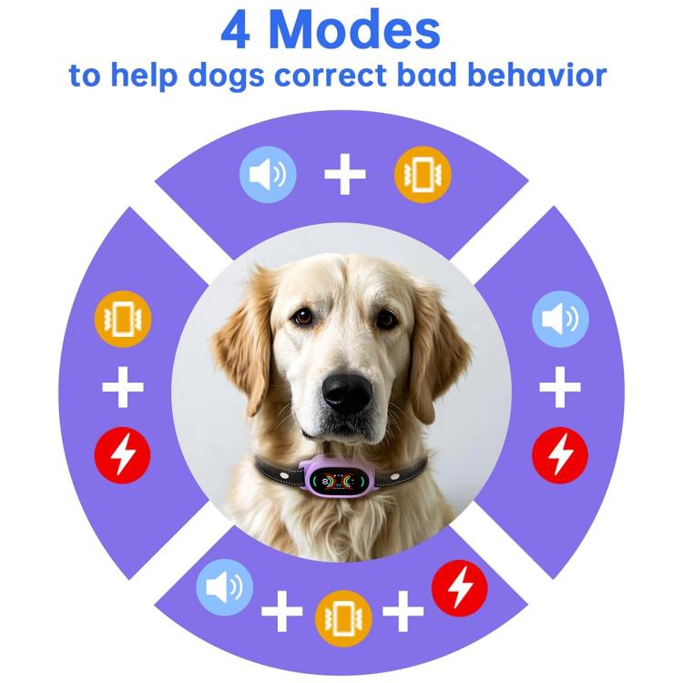 Black anti-bark dog collar on a golden retriever with glowing LED control panel