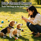 Remote anti-bark training collar on two dogs with handheld remote controller outdoors