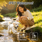 Water-resistant anti-bark training collar with dog by water and remote controller in hand
