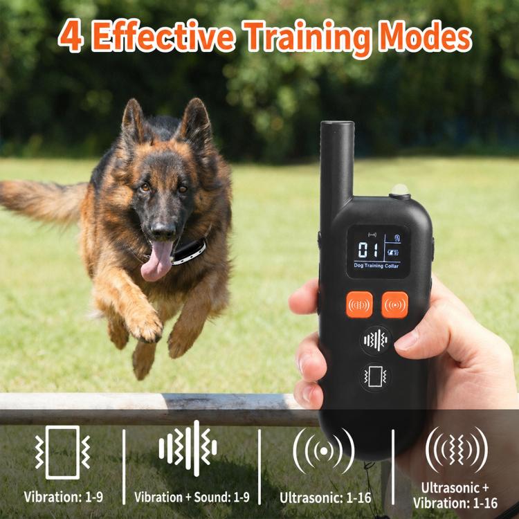 Handheld dog training remote with display and buttons, paired with collar strap
