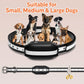 Set of black dog training collars with adjustable straps for small to large dogs