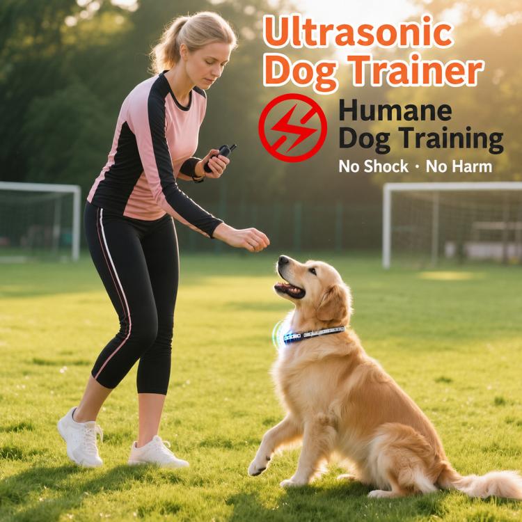 Ultrasonic dog training controller with orange button icons on black remote