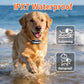 Waterproof anti-barking dog training collar receiver worn by a golden retriever