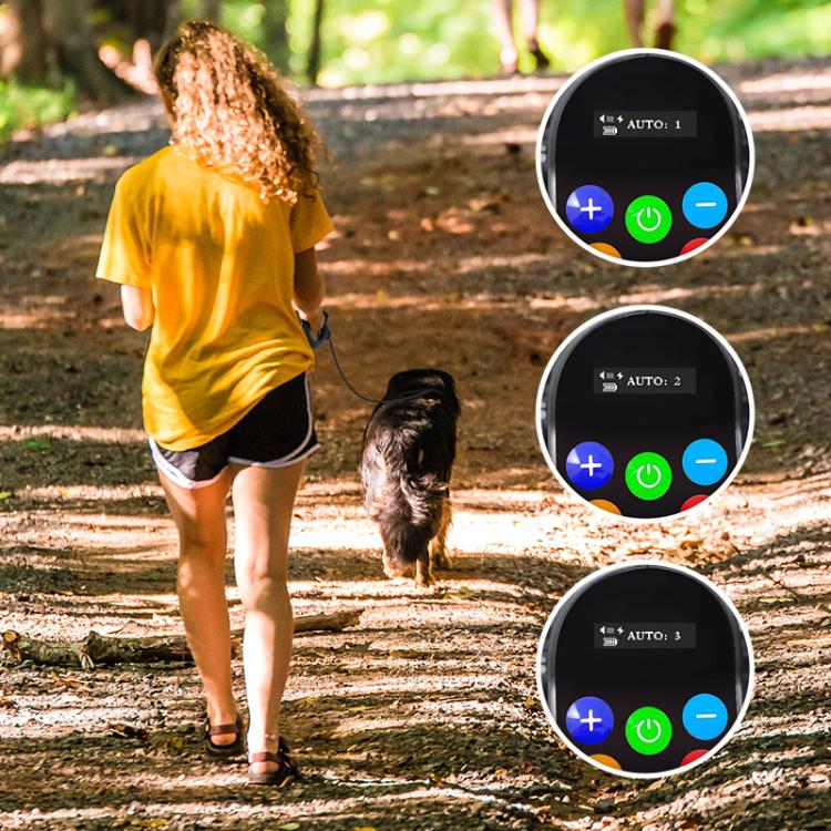 Black handheld dog training remote with round display and blue-green control buttons