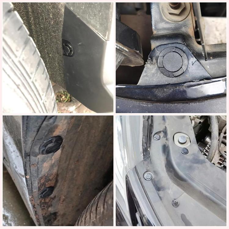 Black rivet clips installed on vehicle panel, showing fastener heads