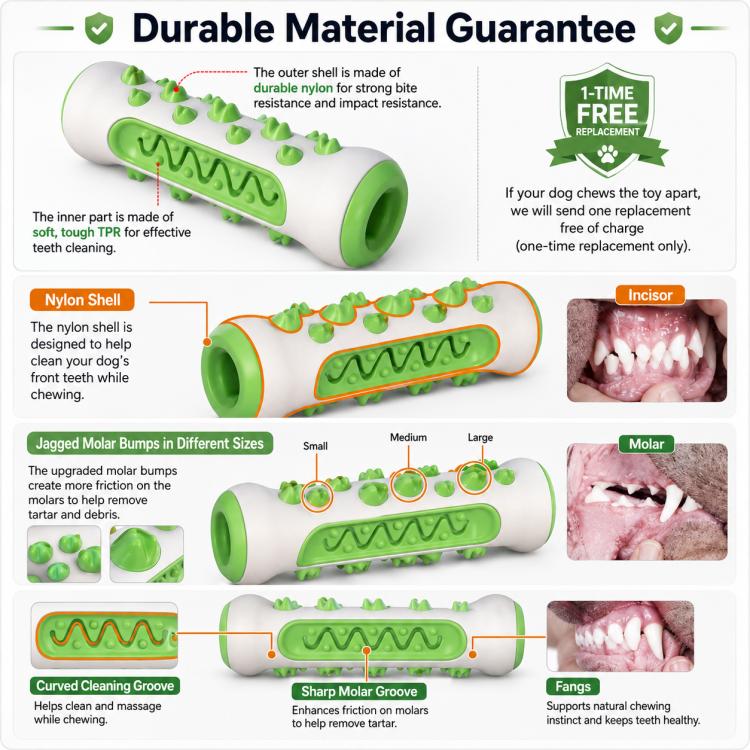 Dog Chewable Bone Shaped Reinforced Gray Shell Teething Stick Pet Toy