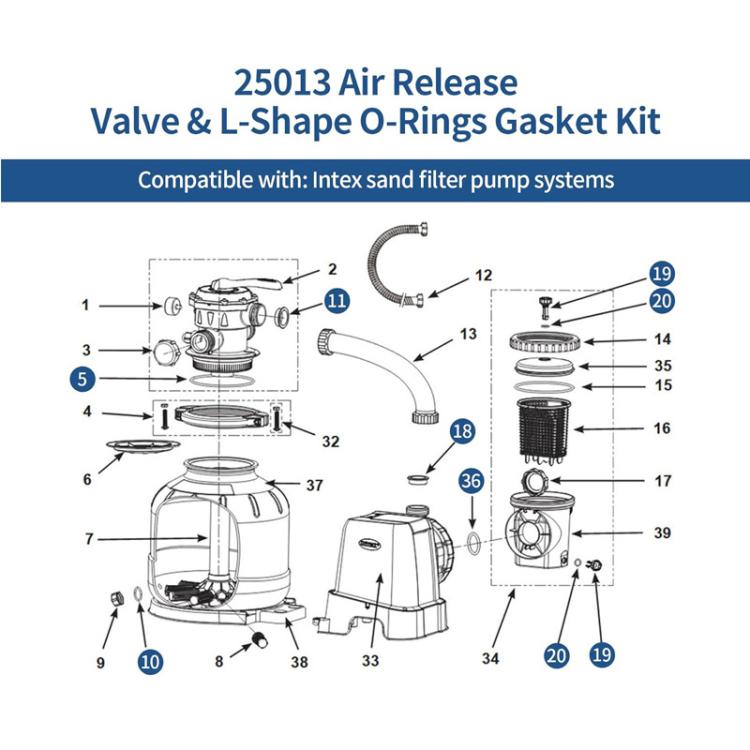 Line diagram of sand filter pump showing air release valve and gasket components