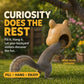 Big Funny Animal Squirrel Head Feeder for Outdoor Garden