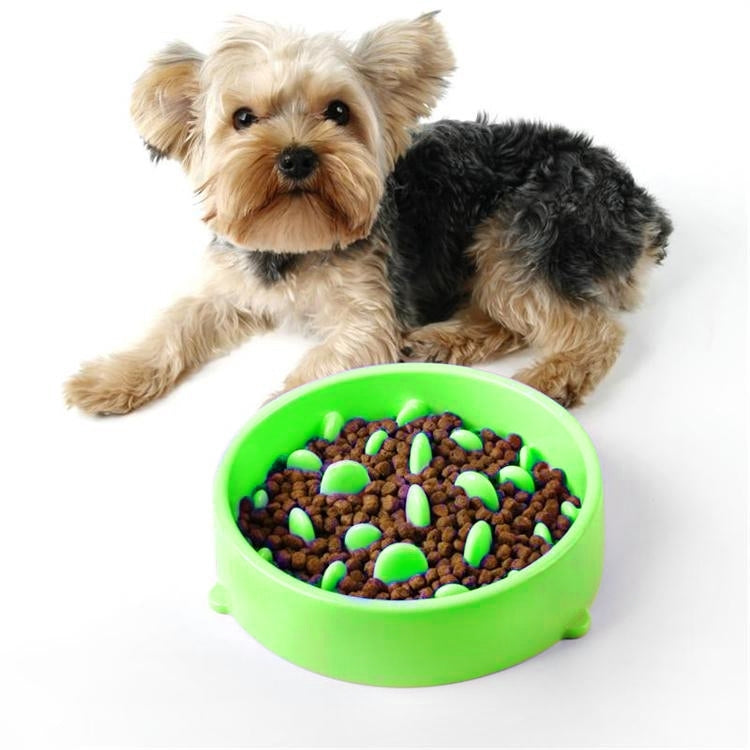 Pet Bowl Preventing Choking PP Bowl, Round Pink, Round Green