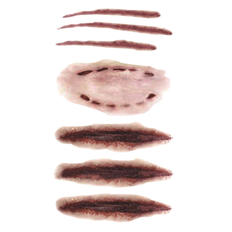 Sheet of temporary scar tattoos featuring scratches, bruises, and a mouth wound design
