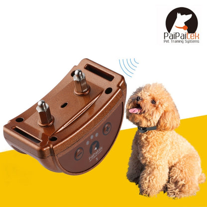 Coffee anti-bark dog training collar receiver, shown with small dog