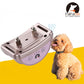 Silver anti-bark dog training collar receiver on small dog