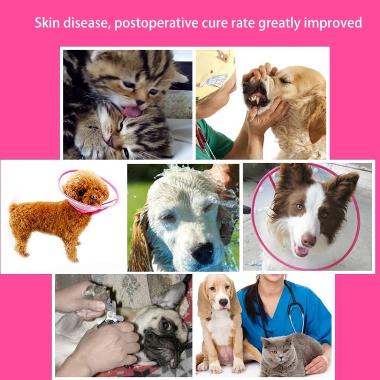 Pet neck protective collar usage collage with animals wearing the ruff