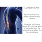 Lumbar curve support infographic showing spine alignment and neck condition