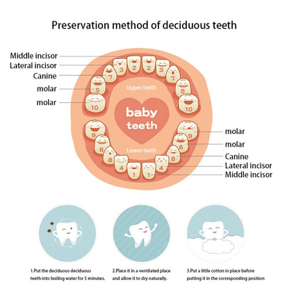 HC2008C_6.jpg@84559f4d5d31ffbf084e20c21782bc34
