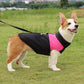 Dog ski suit vest in black and pink, with leash D-ring, on dog