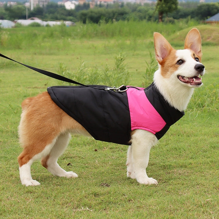 Dog ski suit vest in black and pink, with leash D-ring, on dog