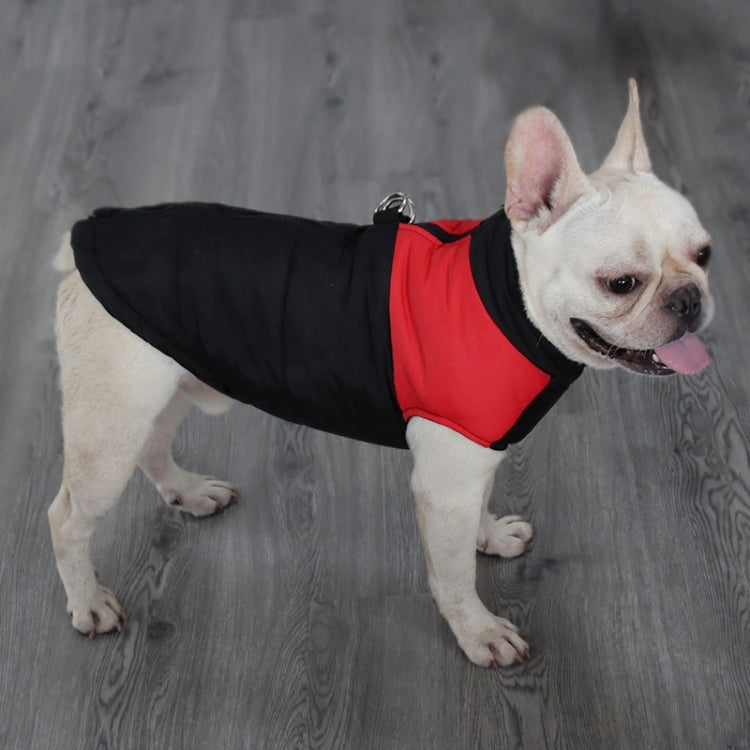 Black and red padded dog ski vest with D-ring, dog standing