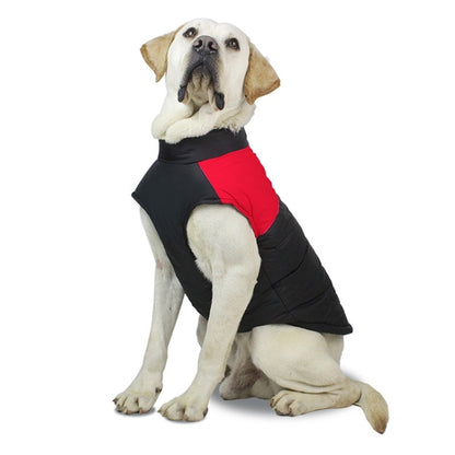 Black and red padded dog ski vest with arm openings, worn on standing dog