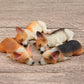 3D sleeping corgi magnet set, six small lying puppies in mixed colors