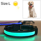 Black LED light-up dog collar emitting blue-green glow
