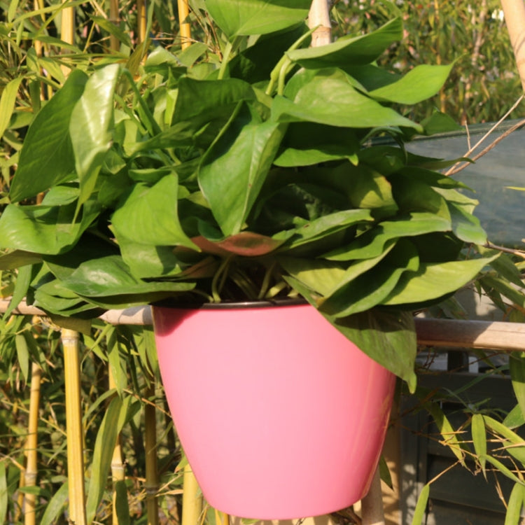 Self-watering hanging planter, round pink resin pot holding leafy green plants
