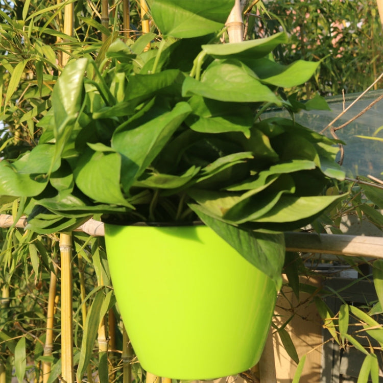 Self-watering hanging planter, round lime green resin pot with leafy green plant