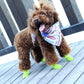 Dog wearing bright green rubber rain boots with water-resistant cuffs