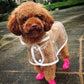 Small dog wearing bright pink rubber rain boots on wet pavement