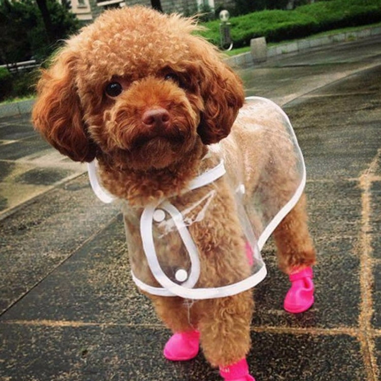 Small dog wearing bright pink rubber rain boots on wet pavement