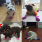 Small dog wearing pink rubber rain boots with white harness straps