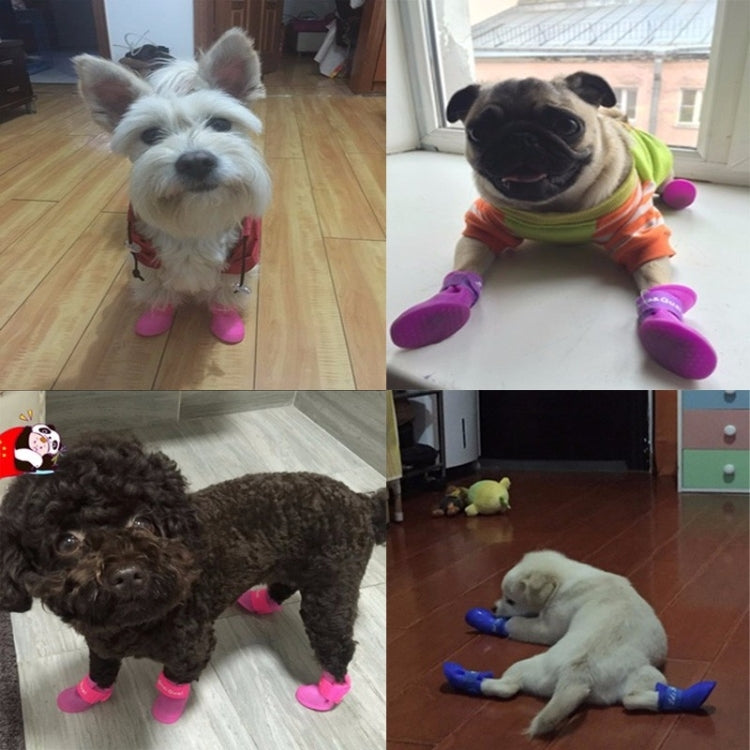 Small dog wearing pink rubber rain boots with white harness straps