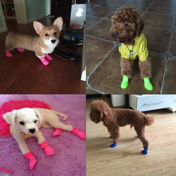 Small dogs wearing neon green and blue rubber rain boots indoors
