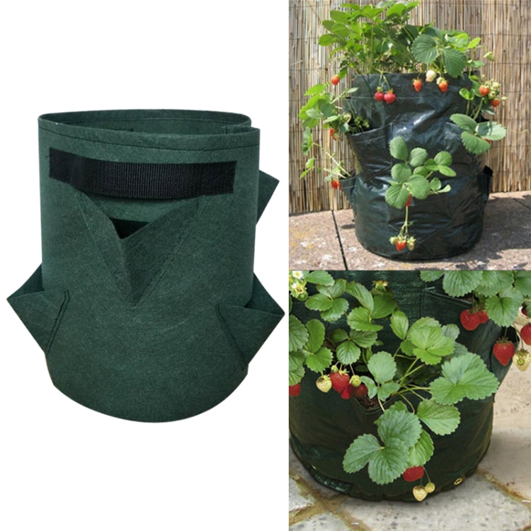 Dark green non-woven felt strawberry planting bag with side pocket openings