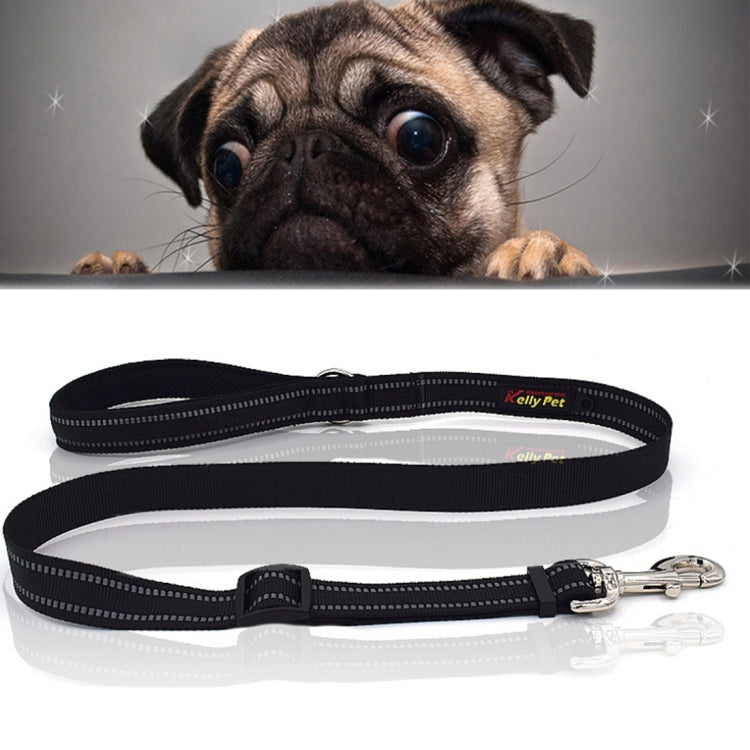 Reflective nylon pet dog leash with black strap, silver stripes, buckle, and metal clasp.