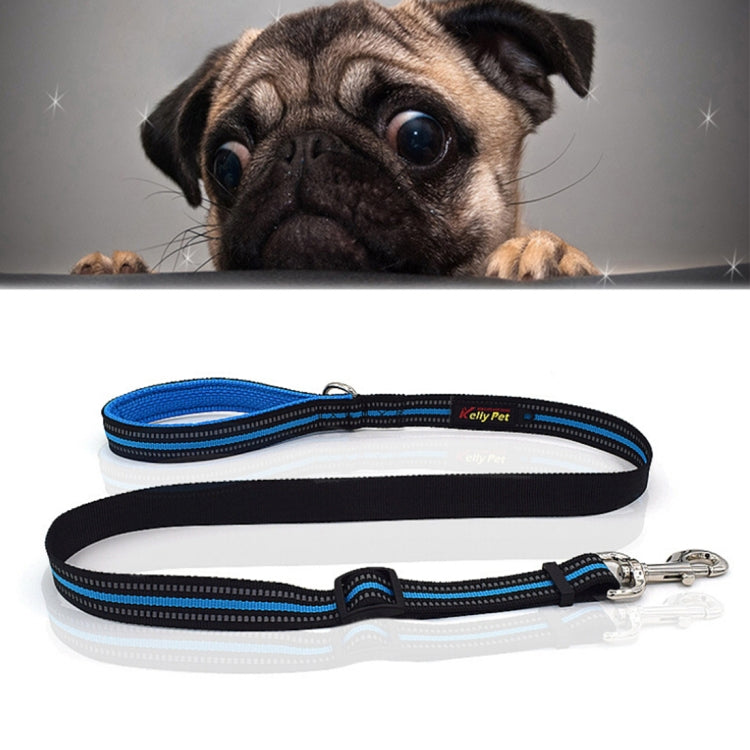 Reflective nylon pet dog leash with blue trim and black strap; metal clasp hardware.