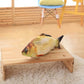 Fish-shaped cat scratching toy on a small wooden board, yellow plush scales