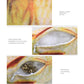Fish-shaped scratching toy showing plush pouch and stuffing details for cat use