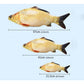 Fish-shaped cat scratching toy size chart: 57cm, 41cm, 21.5cm