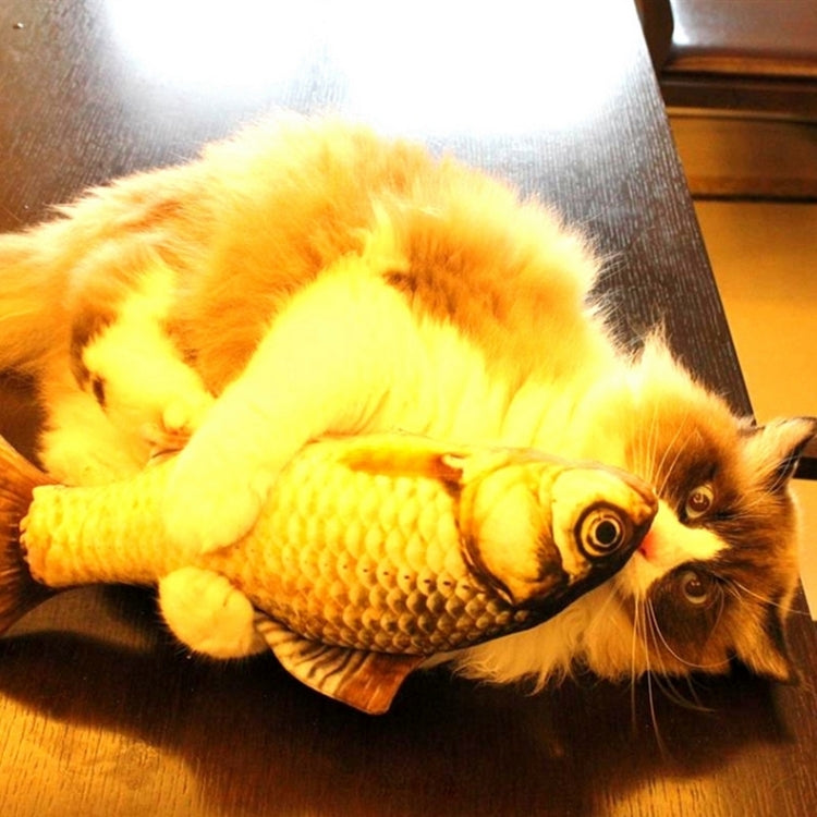 Cat playing with fish-shaped scratching toy; yellow plush scales and red fin